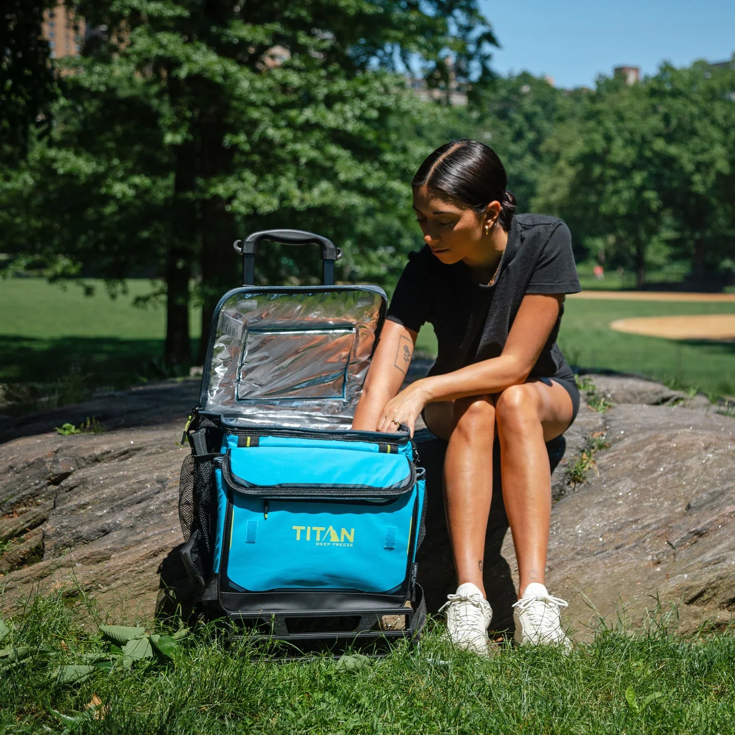 Wheeled Coolers
